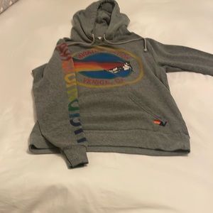 Aviator nation pullover hoodie. Unisex. Size medium. Grey